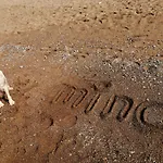 Mina 3*