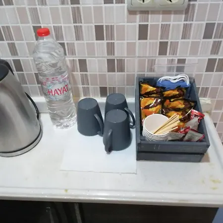 Mina Aparthotel 2*